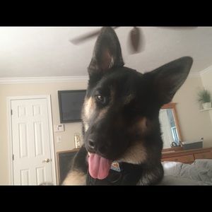 Meet your Posher, Lisa